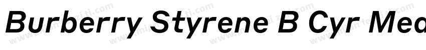 Burberry Styrene B Cyr Medium Plus字体转换